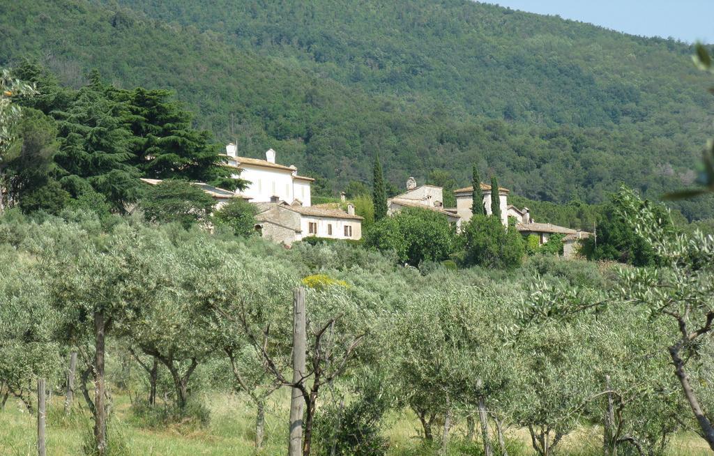 Della Genga Resort Arezzola Habitación foto